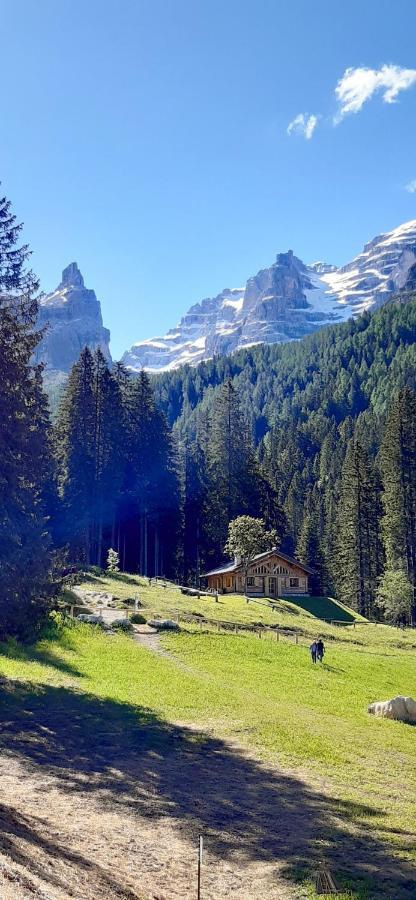 Chalet Brenta Dolomites Madonna Exteriér fotografie