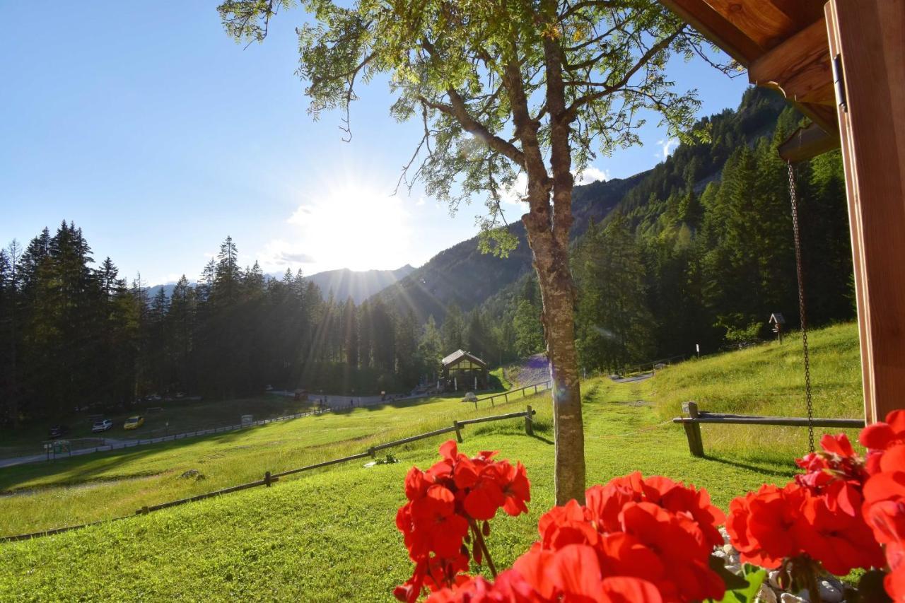 Chalet Brenta Dolomites Madonna Exteriér fotografie
