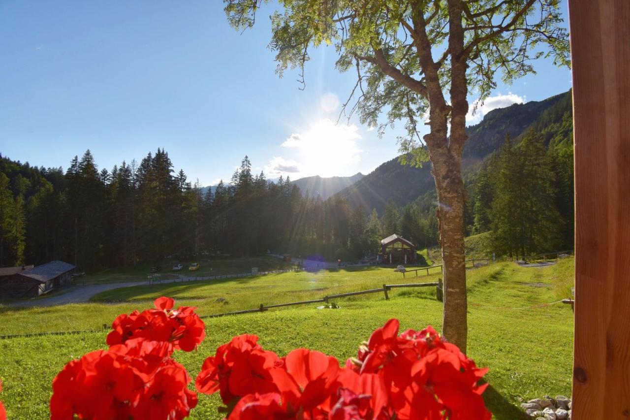 Chalet Brenta Dolomites Madonna Exteriér fotografie