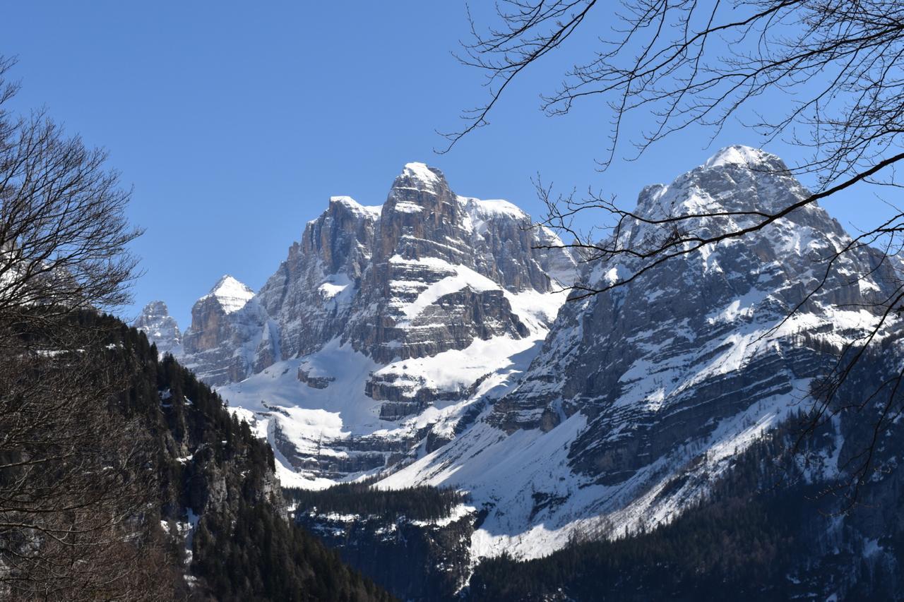 Chalet Brenta Dolomites Madonna Exteriér fotografie