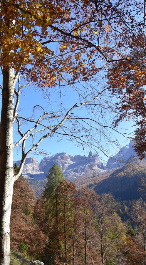 Chalet Brenta Dolomites Madonna Exteriér fotografie